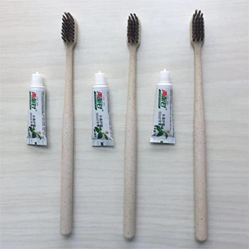 Brosses à Dents, 10 Brosses à Dents Jetables et Durables, Biodégradables, Sans BPA, Brosse à Dents avec Ensemble de Dentifrice, Brosse à Dents Durable, Manche de Brosse à dents Rond Cover