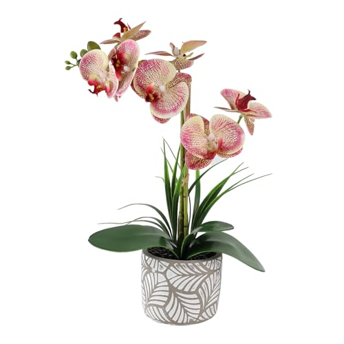 DAMSICO Artificial Orchid Flower Plant, 14.9'' Real Touch Artificial Orchid