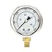 Liquid Filled Lower Mount Pressure Gauge with 2