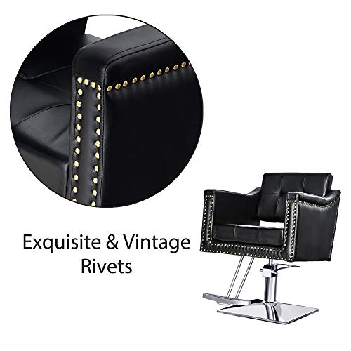 Barberpub Salon Chair For Hair Stylist, Hydraulic Barber Styling Chair, Beauty Spa Equipment 8813 (6" Seat Height Adjustment) (Black) #TOP3