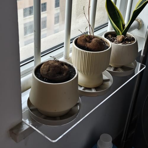 Extension de Rebord de Fenêtre Rallonge de Rebord de Fenêtre pour Plantes, Étagère en Plastique pour Armoire à Pharmacie, Organisateur de Rebord de Fenêtre(30x25cm(11 3/4x9 7/8))