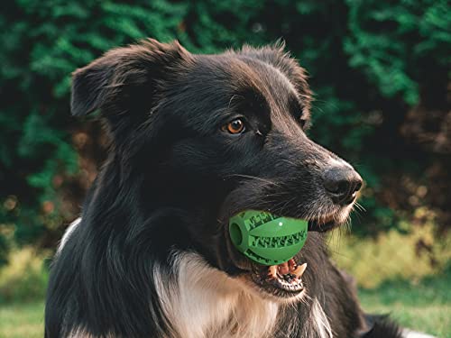 Kauspielzeug für Hunde – Zahnpflegeball aus Naturkautschuk