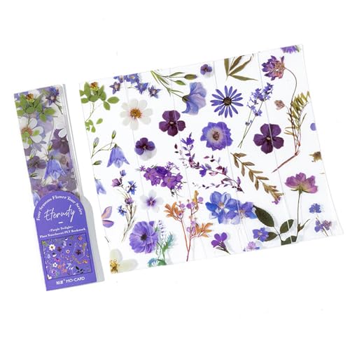 VRthCt[[tNAybgubNy[W{̈DƂ̂߂̂