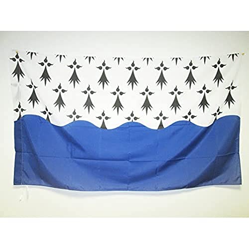 AZ FLAG, French Department of Morbihan Flag, 2x3 Ft, Department of France Banner with Sleeve, 100% Polyester, Fade Resistant