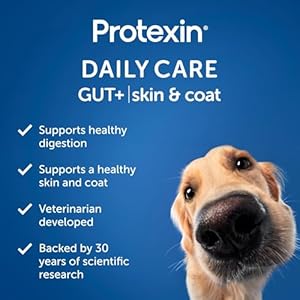 Daily-Care-Gut-Skin-Coat-60-postbiotic-Dog-Supplement-Chews--Salmon-and-Sweet-Potato-Flavored - Cucciolini Doodles   Daily-Care-Gut-Skin-Coat-60-postbiotic-Dog-Supplement-Chews--Salmon-and-Sweet-Potato-Flavored