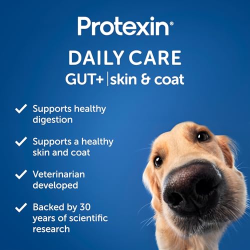 Daily-Care-Gut-Skin-Coat-60-postbiotic-Dog-Supplement-Chews--Salmon-and-Sweet-Potato-Flavored - Cucciolini Doodles   Daily-Care-Gut-Skin-Coat-60-postbiotic-Dog-Supplement-Chews--Salmon-and-Sweet-Potato-Flavored