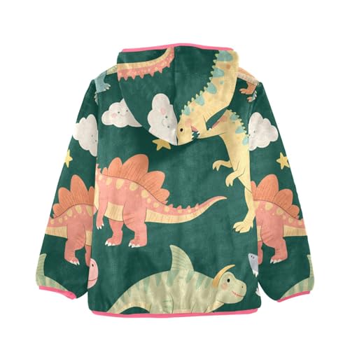 GuoChe Dinosaurs and Clouds Boy Fleece Jacket2