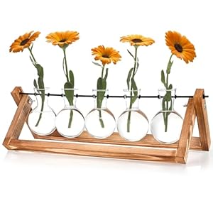 Vintage Kleine Vasen für Tischdeko, Hyindoor Propagation Station, Blumenvase Glasvase mit Holzständer, Kleine Vasen Vintage Glas Reagenzgläser für Hause Büro Wohnzimmer