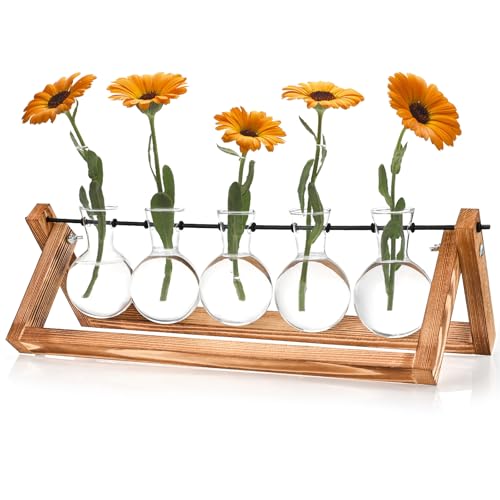 Vintage Kleine Vasen für Tischdeko, Hyindoor Propagation Station, Blumenvase Glasvase mit Holzständer, Kleine Vasen Vintage Glas Reagenzgläser für Hause Büro Wohnzimmer