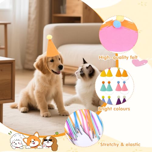 AKINSTER 12 Stück Mini Partyhüte für Kuscheltiere Geburtstagsmützen für Katzen Hunde Kaninchen und Verschiedene Tieraccessoires Festival Deko Foto Prop (Farbig)