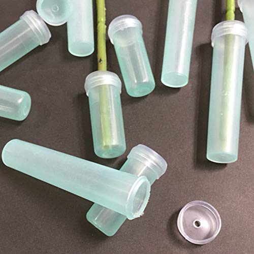 Tubes à eau en plastique transparent pour fleurs | Lot de 50 de 4,1 cm