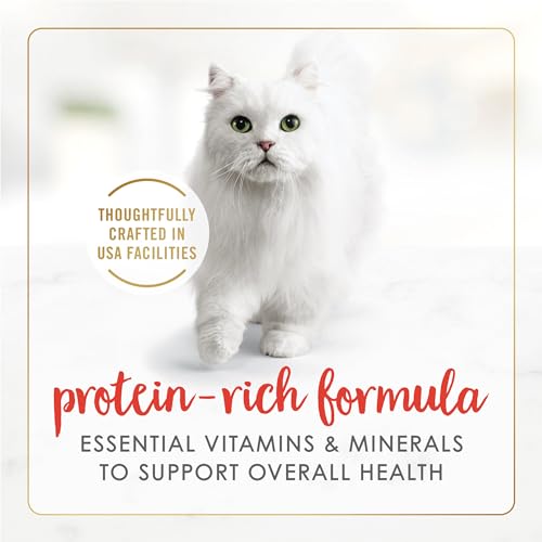 Fancy Feast Purina Gravy Lovers Beef Feast Pate Cat Food (24) 3 oz Cans - image 3