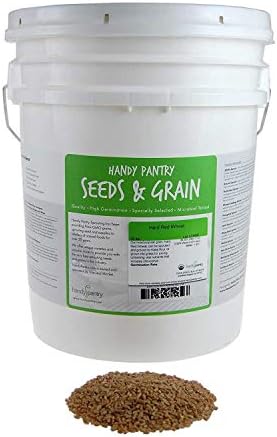 Organic Hard Red Wheat Seed: 35 Lb - Handy Pantry Brand - Grow Wheatgrass, Flour, Grain & Bread, Emergency Food Storage, Ornamental Wheat Grass - Non-GMO, Sprouting Wheat Berries - High Germination