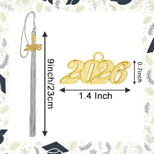 Image of 10 Pieces 2026 Graduation Tassels Bulk with Gold Year Charms for Graduation Cap Accessories (Silver)