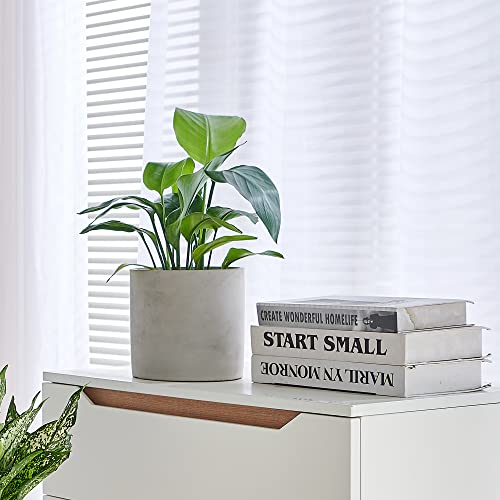Tagobar Plant Pots Cement Planter Indoor- Modern 4.7 Inch Grey Flower Pot With Drainage Hole For Home Office Decor (Plant Not Included) #TOP4