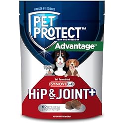 1 of Pet Protect Dog Hip & Joint+ Supplement for Active & Aging Dogs, Vet-Formulated Synovi G4, Dog Glucosamine, Chicken-Flavored Soft Chews (60 Count)