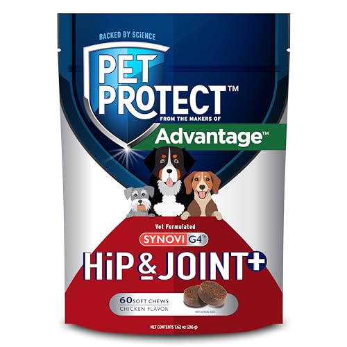 Pet Protect Dog Hip & Joint+ Supplement for Active & Aging Dogs Vet-Formulated Synovi G4 Dog Glucosamine Chicken-Flavored Soft Chews (60 Count)