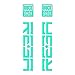 STAR SAM Adesivi Compatibili con forcella bici Rock Shox Reba fustellata 2020 Menta 1 CMT