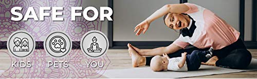 Black Diamond Stoneworks Yoga Mat Spray Cleaner: Usda Certified Biobased- Essential Oils, Safe For All Type Of Materials, Exercise, Pilates, Or Workout Mats. (1 Quart) #TOP6