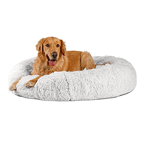 Top 5 Best Dog Beds to Reduce Anxiety DogVills