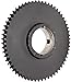 Martin Roller Chain Sprocket, Taper Bushed, Type C Hub, Double Strand, 40 Chain Size, For 2517 Bushing, 0.5" Pitch, 60 Teeth, 2.5" Max Bore Dia., 9.84" OD, 4.25" Hub Dia., 0.841" Width