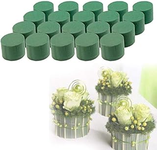Silk Flower Warehouse 20 x Wet Cylinder for Fresh Flowers Foam Sponge for Weddings & Florist Floral Funeral Arrangements DIY Craft Supplies