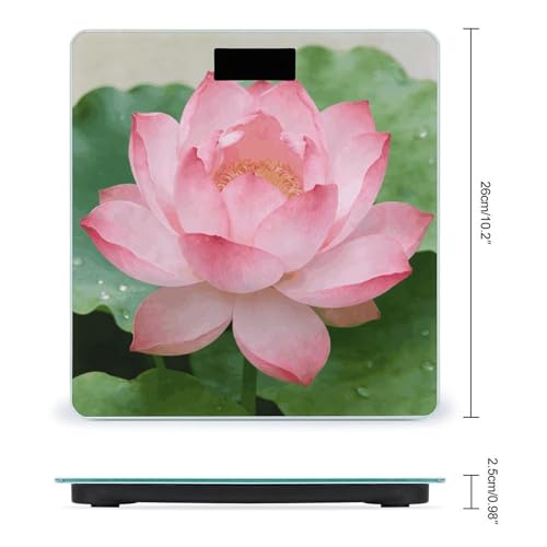Báscula Digital de Baño con Pantalla LED Clara y Plataforma de Cristal Templado miniatura 2