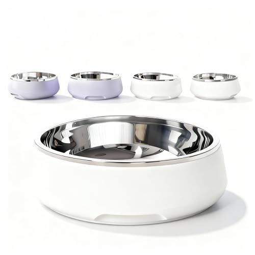 Stainless Steel Large Dog Bowls, Non-Slip Rubber Base, Insulated Puppy Essentials, Cat Bowls for Indoor Cats, Double-Wall,Durable and Dishwasher-Safe Metal Pet Bowl,45 Fl Oz Cream White