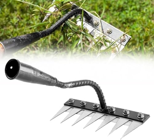 rakes