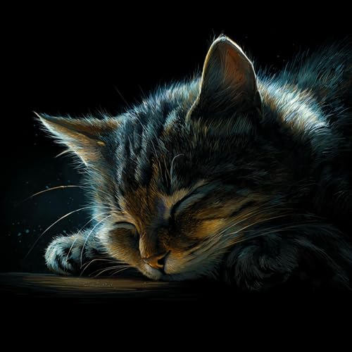 『Cat Purr Blanket | Soothing Cat Purr Therapy』のカバーアート
