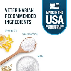 VetIQ-Glucosamine-Hip-Joint-Supplement-for-Dogs-180-Soft-Chews-Dog-Joint-Support-Supplement-with-MSM-and-Krill-Dog-Health-Supplies-Large-Small-Breed-Chicken-Flavored-Chewables - Cucciolini Doodles   VetIQ-Glucosamine-Hip-Joint-Supplement-for-Dogs-180-Soft-Chews-Dog-Joint-Support-Supplement-with-MSM-and-Krill-Dog-Health-Supplies-Large-Small-Breed-Chicken-Flavored-Chewables