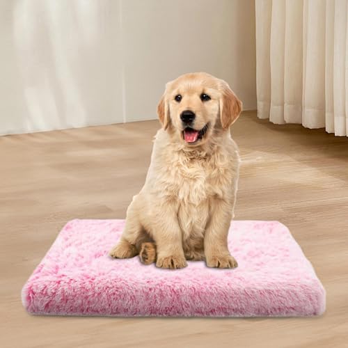 Coussin auto-chauffant pour chat sans électricité pour protéger du froid