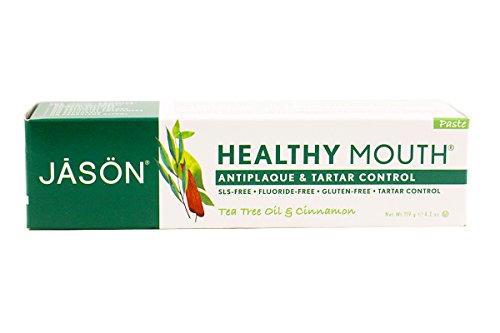 Jason Natural, Healthy Mouth, Antiplaque & Tartar Control Toothpaste, Tea Tree Oil & Cinnamon, 4.2 oz (119 g)