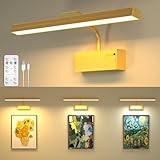 Bildbeleuchtung Kabellos LED Bilderleuchte Akku, Bilderlampe mit Fernbedienung, Dimmbare & 3 Farbtemperaturen, 3000mAh, Wiederaufladbare Wandleuchte Innen für Bilder Gemälde Dartscheibe Kunstwerk