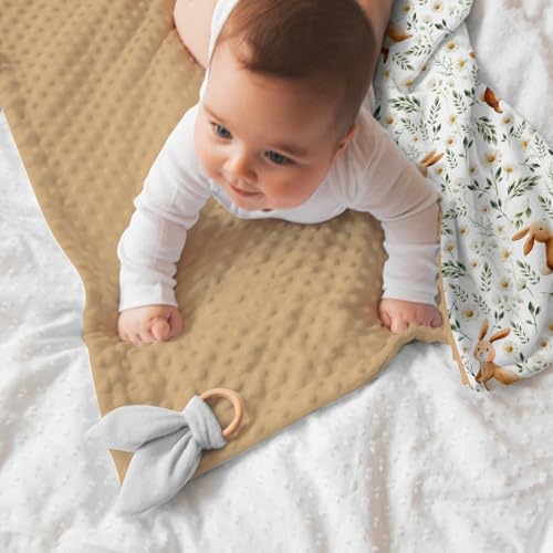 Image of Brown Baby Blankets for Girls 30 x 40, Soft Double Layer Minky Blanket with Dotted Fleece Back, Nursery Bed Receiving Quilt Newborn Infant Toddler Shower Gift Bunny Spring Daisy Flower Theme