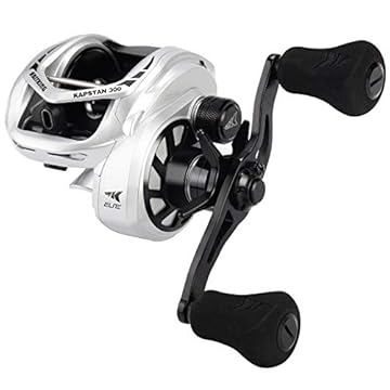 best baitcasting reel for salmon and steelhead