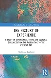 The History of Experience: A Study in Experiential Turns and Cultural Dynamics from the Paleolithic to the Present Day (Routledge Studies in Cultural History)