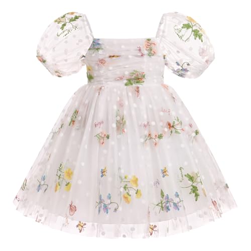 Toddler Flower Girl Wedding Dress Floral Embroidery Sheer Sleeve 2nd 3rd Birthday Outfits Princess Pageant Tulle Dress