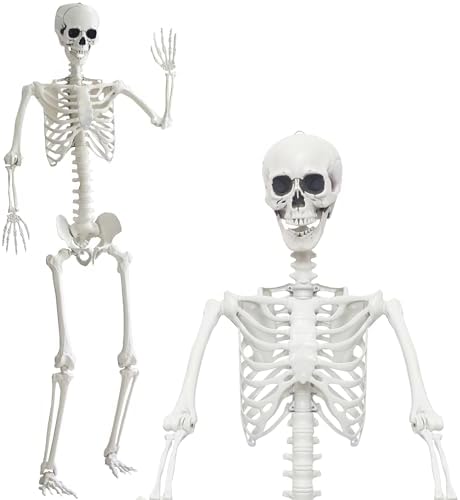 417FBWCGsnL._AC_ Halloween Skeleton Life Size Giant Skeleton Full Body Skeleton Plastic Human Skeleton with Adjustable Joints for Halloween Indoor Outdoor 2.5M