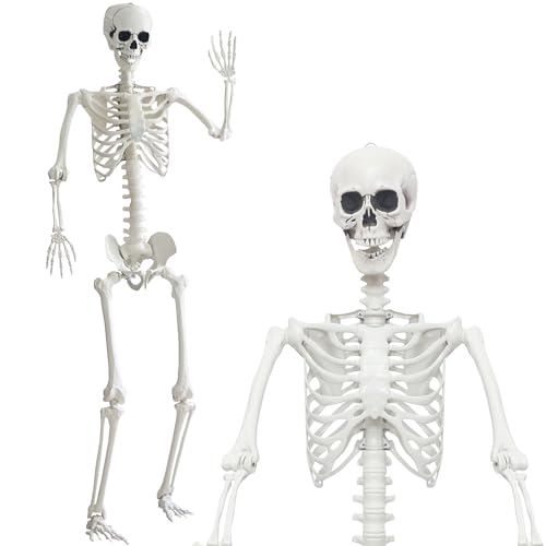 7.9Ft/240cm Halloween Giant Skeleton Life Size Skeleton Full Body Plastic Human Skeleton with Adjustable Joints for Halloween Outdoor Indoor Decoration