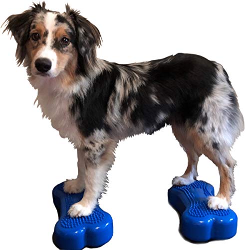 FitPAWS PFPEBOMNBL Mini K9 Fit Bone44; Blue44; 11 x 7.5 x 2.5 in. - Set of 2