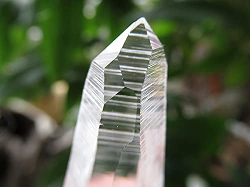 Amazon.co.jp: コロンビア産 レムリアンシードクリスタル 水晶 原石