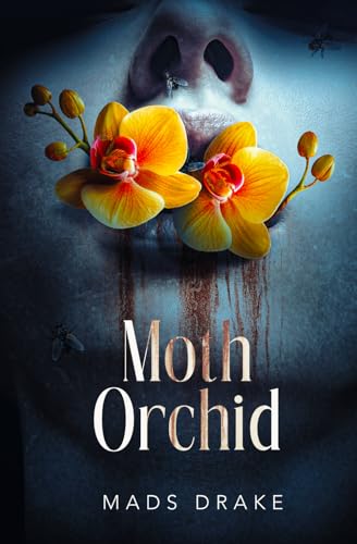 Moth Orchid