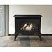 Pleasant Hearth VFS2-PH30DT 30,000 BTU 32