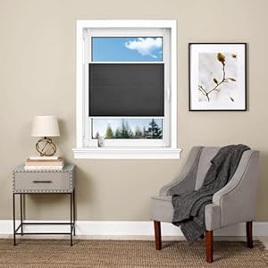 Generisch Plissee-Rollo 80 x 160 cm Schwarz