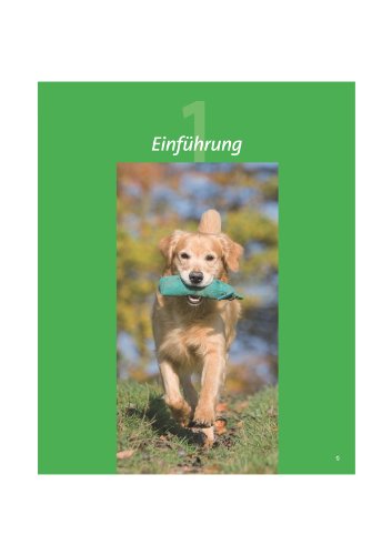 Dummy-Training (Die Hundeschule)