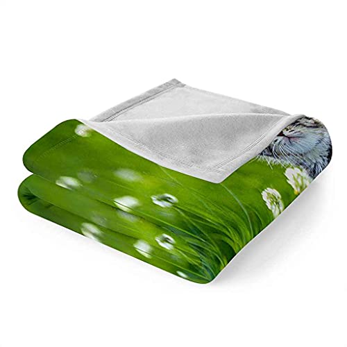 Couverture flanelle chat vert 150x200cm en microfibre douce - 7