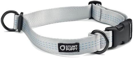 Collar One Size Fits All Silver
