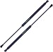 2 Pieces (SET) Tuff Support Front Hood Lift Supports 2002 To 2012 Land Rover Range Rover (excluding LR3)