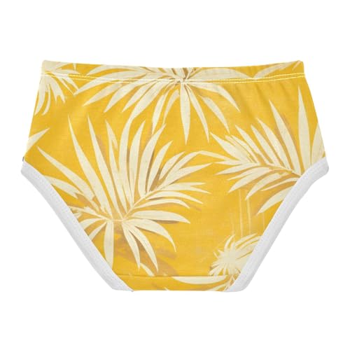 GuoChe Cotton Briefs Underwear Moisture Wicking Breathable Underwear for Young Girls in Sizes 2T-8Y2